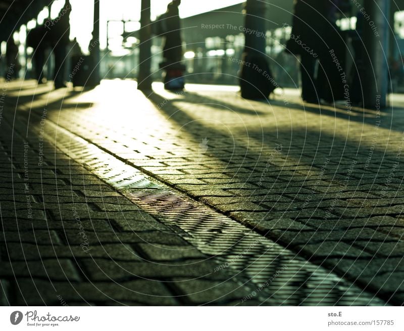 voyager Train station Railroad Asphalt Paving stone Vacation & Travel Travel photography Trip Suitcase Luggage Light Shadow Rain gutter Reflection Blur