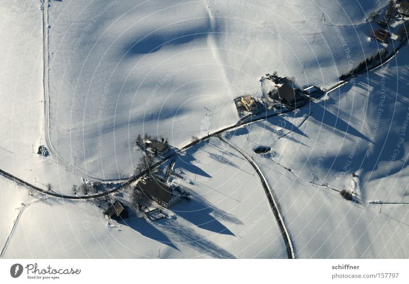 Bird looks down I Black Forest Bird's-eye view Snow Tree Fir tree Shadow House (Residential Structure) Street Winter Cold Highlands Vantage point Airplane