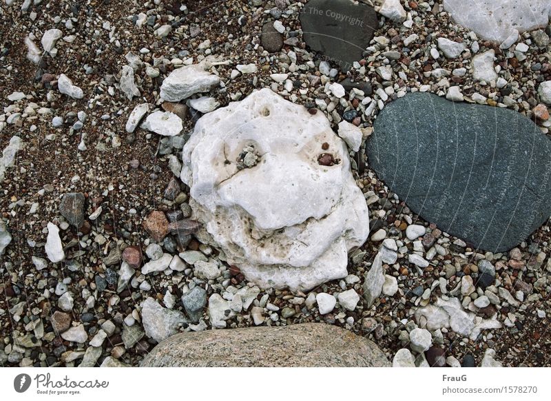 smiley Well-being Vacation & Travel Beach Face Nature Coast Stone Smiling Friendliness Happiness Joy Joie de vivre (Vitality) Limestone Sweden Gotland Stony