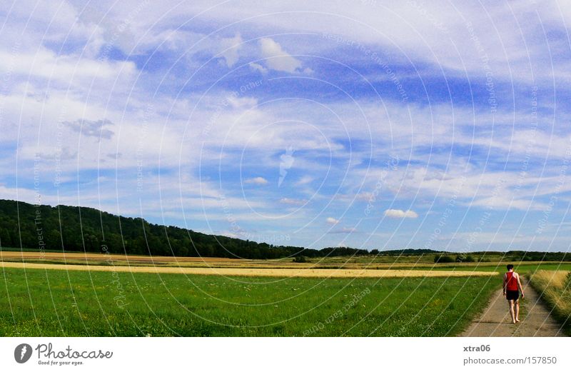 snow? I don't see anything Summer Sky Man Lanes & trails To go for a walk Meadow Grass Walking