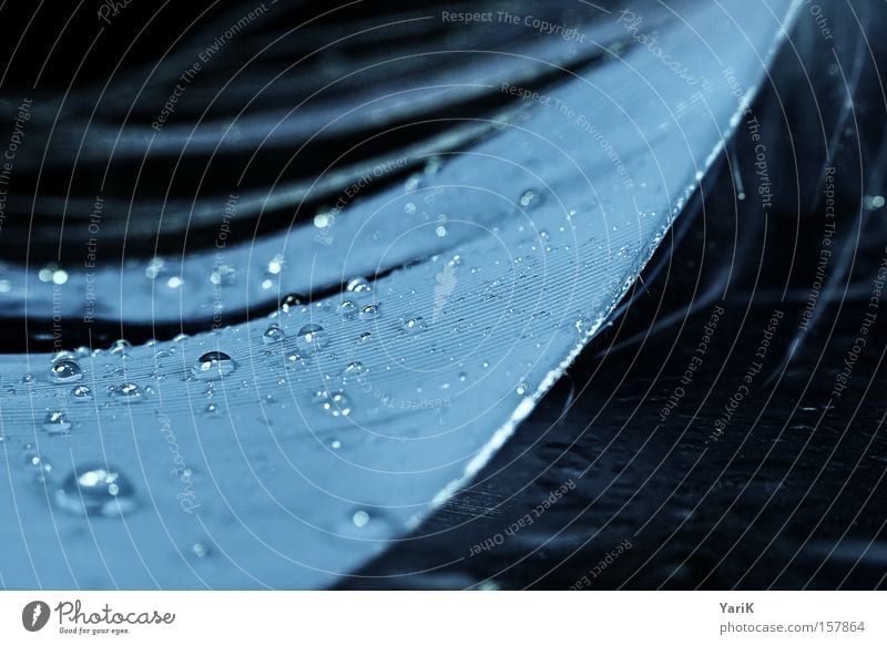 feather-cold Feather Easy Damp Wet Water Drops of water Macro (Extreme close-up) Blue Dew Contrast Hydrophobic Close-up Deserted