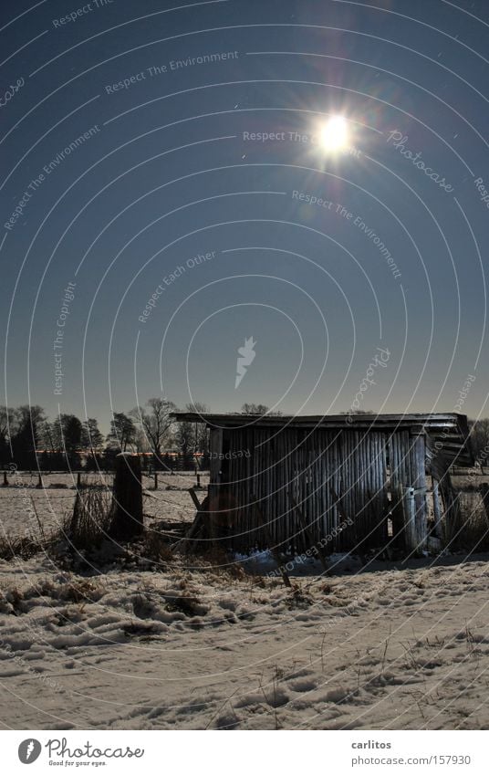 Full moon night (without wolf) Night Dark Light Full  moon Long exposure Snowscape Agriculture Radioactivity Radiation Winter Light painting farmer's disco Barn