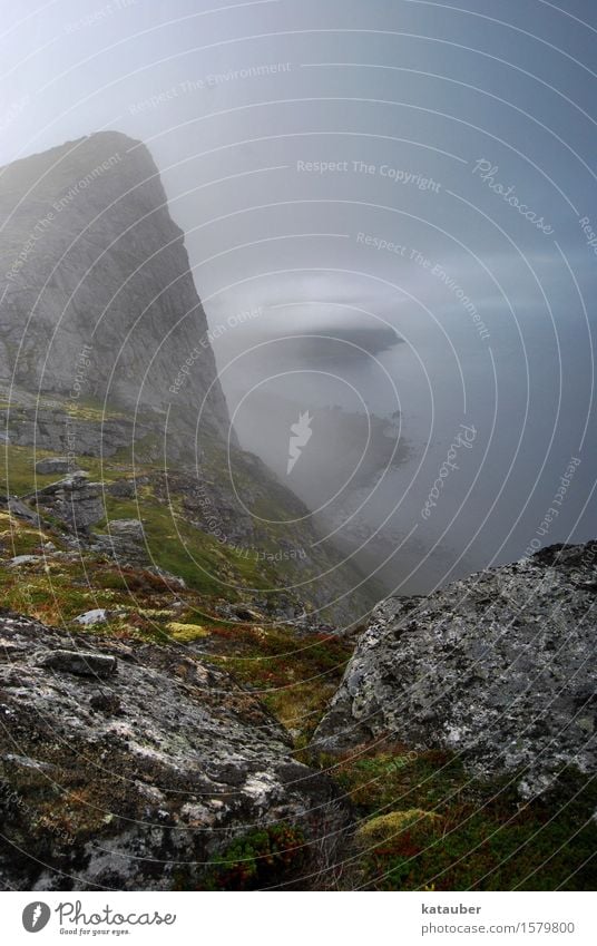 mystic coast Nature Landscape Plant Earth Water Clouds Summer Bad weather Fog Rock Mountain Coast Ocean Island "Lofoten Vaeroy,Norway" Exceptional Dark Free