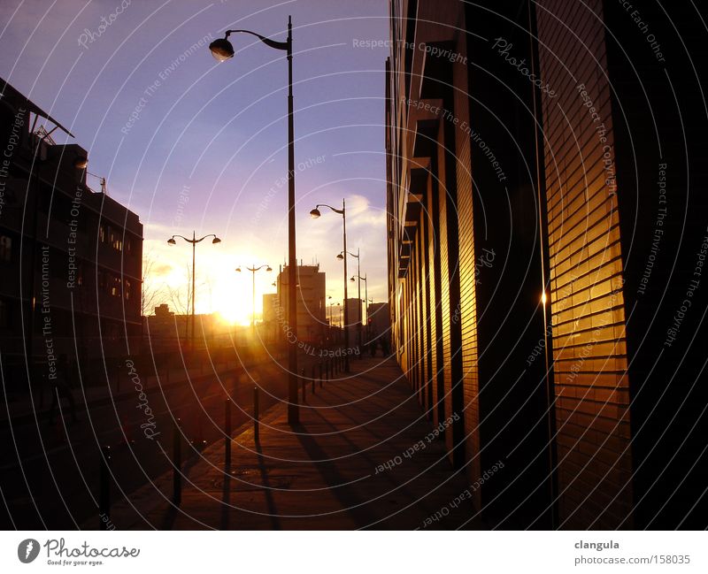 Paris Evening Sunset Winter sun Blue sky Back-light Lantern Traffic infrastructure Rive Gauche Warm light