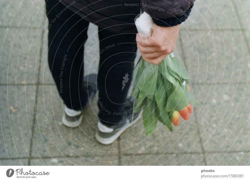 visit of the old lady Flower Grateful Lanes & trails Street Spring Girl Hand Legs Footwear Feet Sneakers Tulip Bouquet