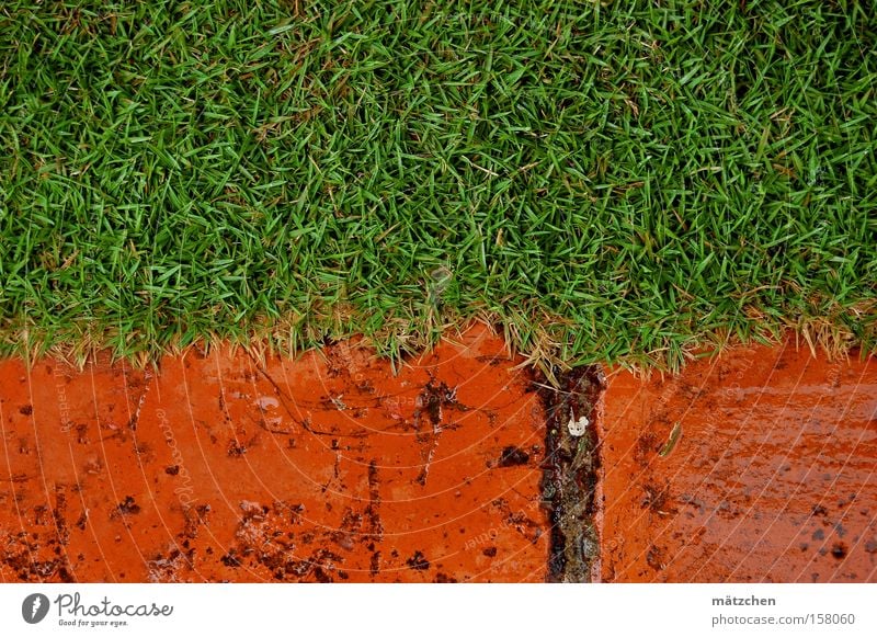 the lawn Lawn Grass Brick Cuba Red Green Contrast Rain Wet Meadow Boundary Composing Golden section