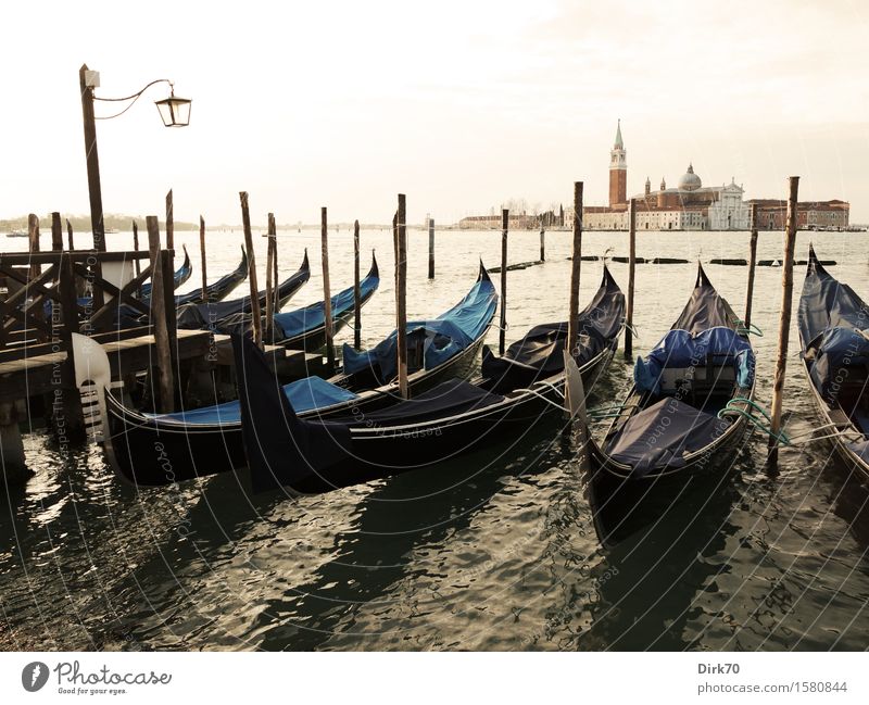 Gondola through Venice ... Lifestyle Sightseeing City trip Cruise Sunlight Spring Beautiful weather Waves Coast Bay Lagoon Islands Italy Veneto Old town Church