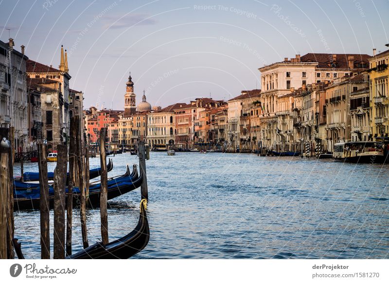 Sunrise on the Grand Canal in Venice Looking Central perspective Deep depth of field Dawn Morning Light Shadow Contrast Copy Space middle Copy Space bottom