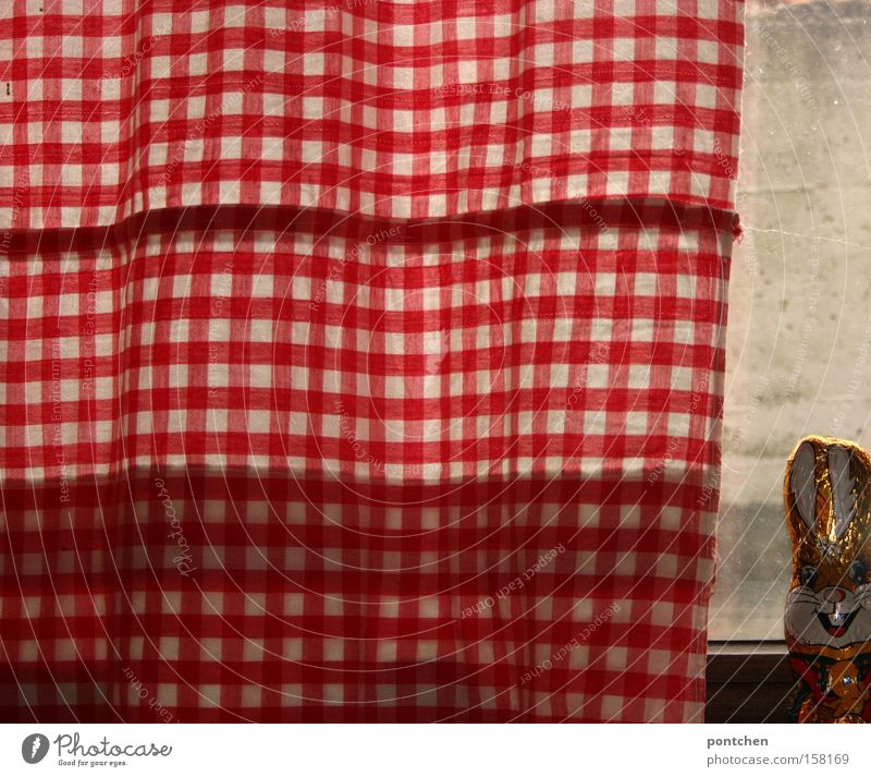 Chocolate Easter bunny on a windowsill next to red-white curtain Candy Living or residing Arrange Decoration Trade Packaging Kitsch Odds and ends Glittering