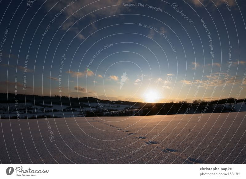 Tracks in the snow Colour photo Exterior shot Deserted Copy Space top Evening Twilight Sunbeam Sunrise Sunset Central perspective Winter Snow Mountain Landscape