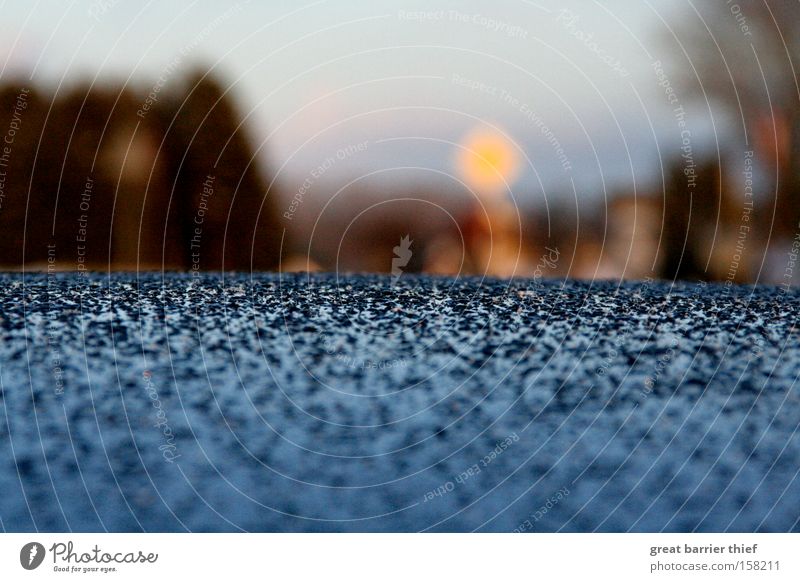 car roof symphony Roof Motor vehicle Evening Sky Near Blue Multicoloured Tree Macro (Extreme close-up) Close-up Car Drops of water Rain Snow