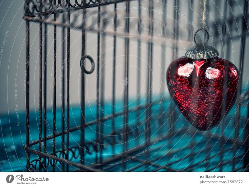 red heart Valentine's Day Wood Metal Rust Heart Catch Love Retro Beautiful Blue Red Emotions Infatuation Romance Desire Lust Sex Longing Colour Idyll