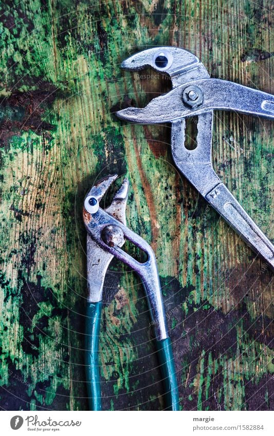 Listen carefully! Two tongs with eyes on an old wooden table Profession Craftsperson Workplace Construction site Services Craft (trade) Tool Claw Animal 2