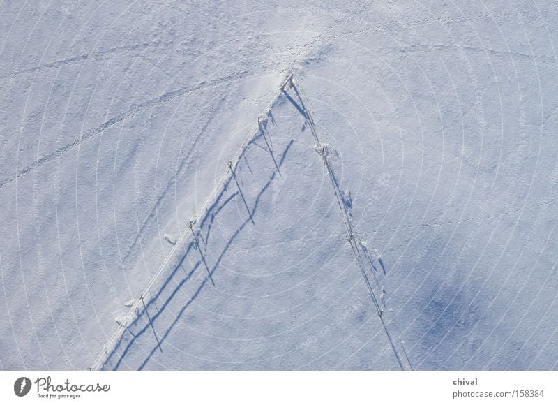 Tracks in the snow Winter Tree Shadow Meadow Light Snow Cold Bird's-eye view Contrast Puzzle Leisure and hobbies