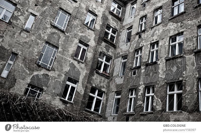 The window to the courtyard Window Courtyard Loneliness Shack Derelict Decline Gray Gloomy Backyard House (Residential Structure) Poverty Redecorate