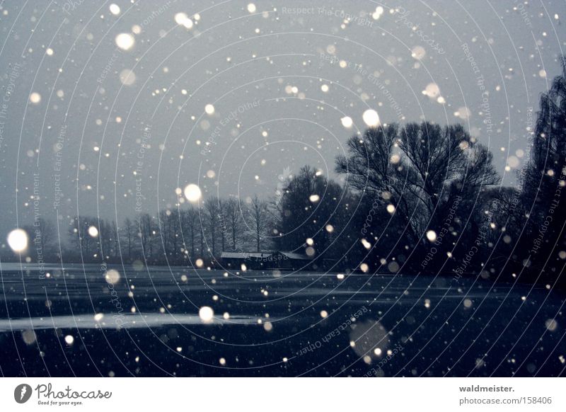 winter Winter Ice Snowfall Lake Tree Cold Snowflake boathouses Feisneck Lake Boathouse Storage shed Dark Winter mood Leafless Barn