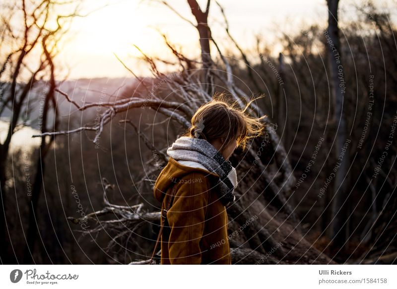 uprooted Far-off places Freedom Hiking Feminine 1 Human being 18 - 30 years Youth (Young adults) Adults Environment Nature Landscape Sun Sunlight Spring