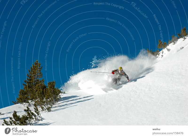 wild Snow Snowfall Skiing Winter sports Deep snow Mountain Blue sky Austria Free skiing Extreme Speed Avalanche freeride obertauern