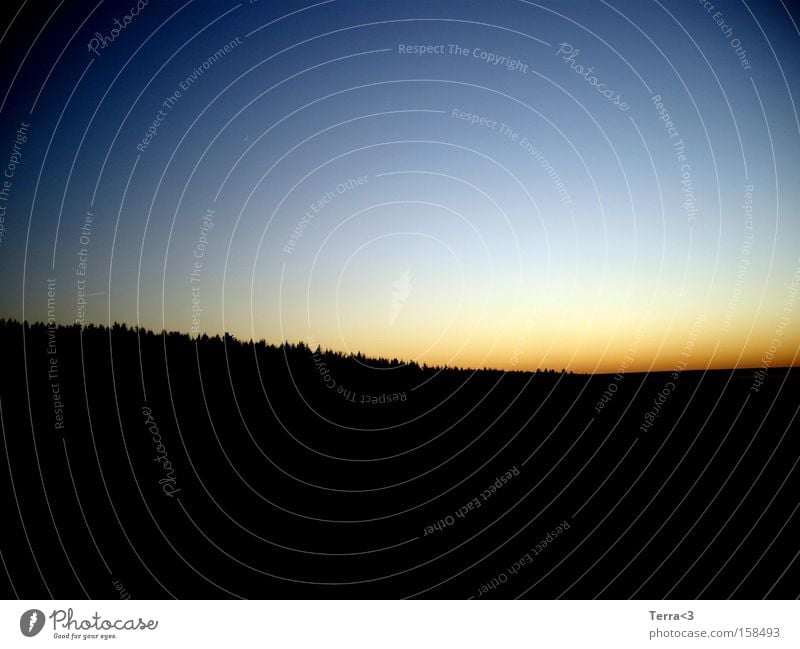 The sun rises in the east Sunset Sunrise Forest Sky Dawn Evening sun Dusk Blue Red Black Light Day Morning Weather