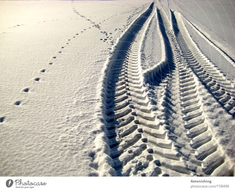 Photo number 100 leaves its mark Winter Snow Weather Ice Frost Lanes & trails Vehicle Animal tracks Cold White Tracks Snow track Light Shadow Skid marks