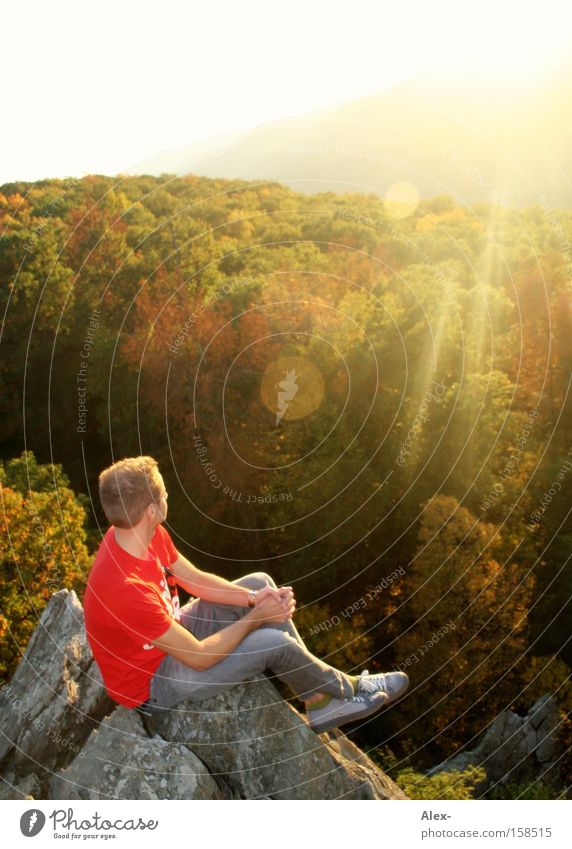 mountain festival Autumn Sun Summer Forest Rock Mountain T-shirt Sit To enjoy Relaxation Charlottesville Virginia Americas USA Richmond