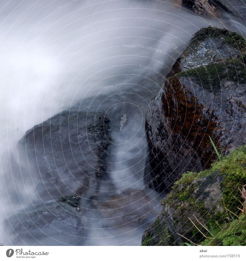 cold and damp Waterfall Mountain stream Brook Long exposure Soft Cold Blue Black Forest Schauinsland Highlands Landscape River gray filter Mountain torrent