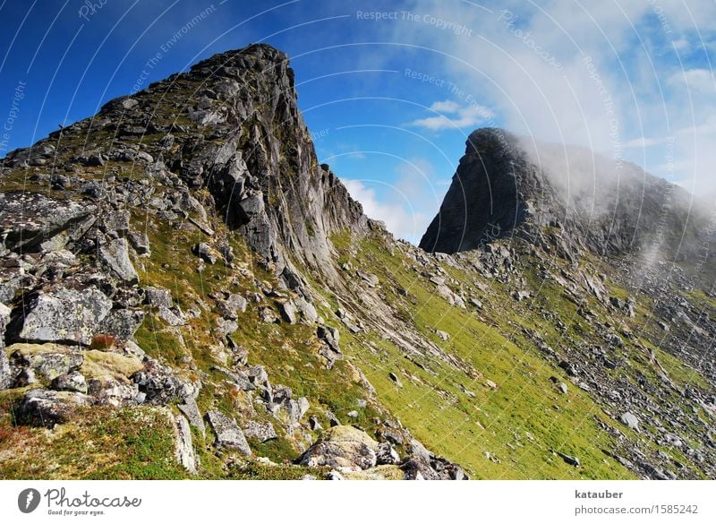 croissant Nature Landscape Sky Clouds Sun Beautiful weather Grass Rock Peak Lofotes Norway crocodile Esthetic Gigantic Infinity Natural Juicy Wild Success Power