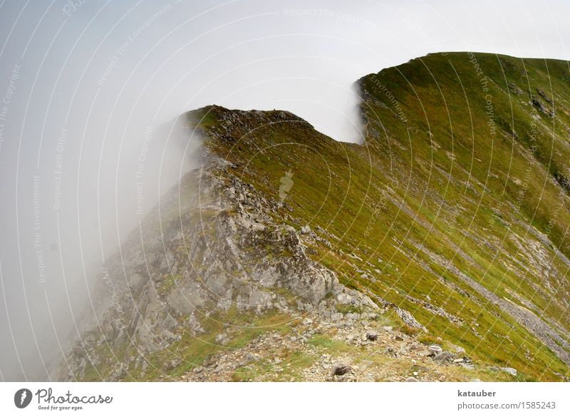 nebulous Nature Landscape Elements Clouds Bad weather Fog Meadow Rock Mountain Island Lofotes Norway vaeroy Esthetic Threat Cold Green Curiosity Hope Dangerous