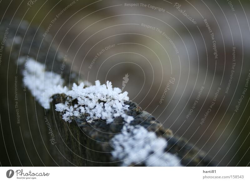 frost Frost Snow Fence Winter Ice White Ice crystal Brown Cold Nature Calm Vacation & Travel Relaxation Exterior shot Macro (Extreme close-up)