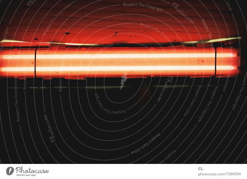 red light Wall (barrier) Wall (building) Ceiling Dark Creepy Red Black Neon light Neon lamp Colour photo Deserted Copy Space left Copy Space right