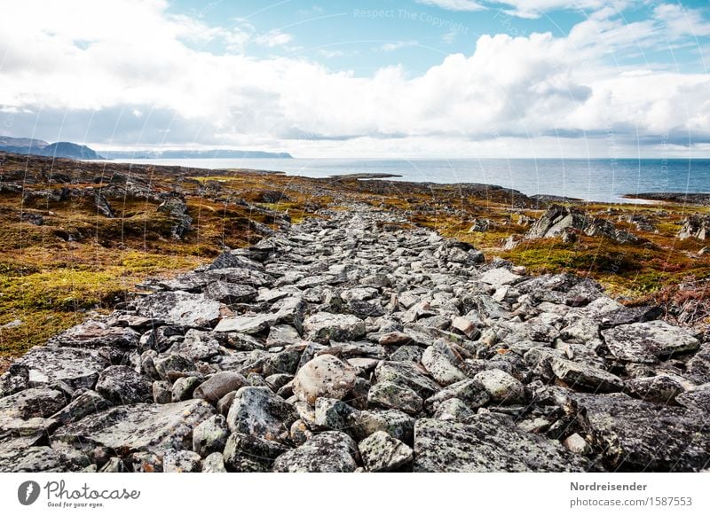 Life, a rocky road..... Vacation & Travel Hiking Construction site Nature Landscape Water Sky Clouds Beautiful weather Rock Coast Fjord Ocean Transport Street