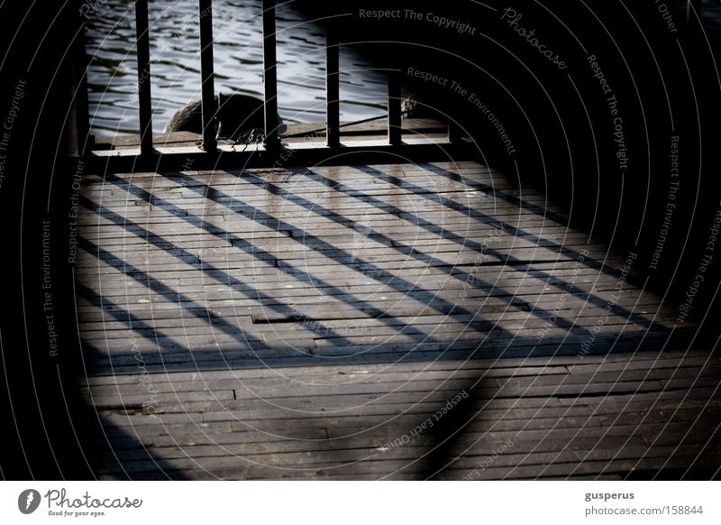 lines Grating Shadow Wooden floor Water Light Pattern Harbour grid