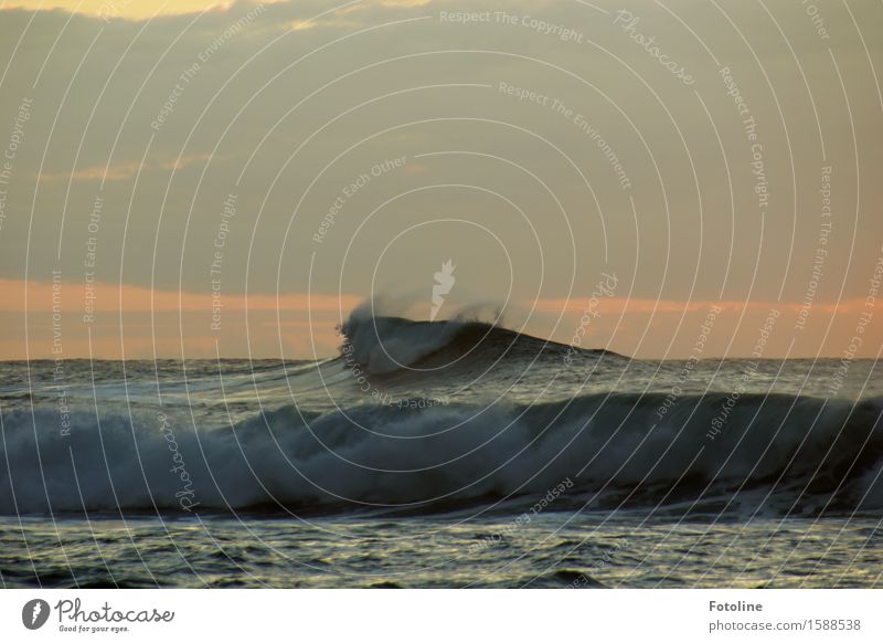 swell Environment Nature Waves Coast Ocean Dark Large Wet Natural Power Strong Wave break Swell Crest of the wave White crest Roaring Massive Colour photo