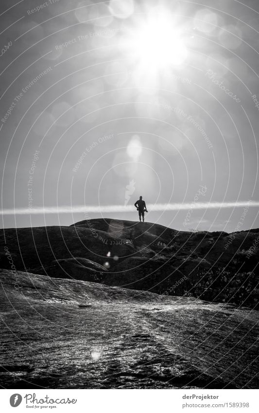 Photographer on an archipelago island in Sweden backlit Panorama (View) Deep depth of field Reflection Contrast Light Day Copy Space right Copy Space top