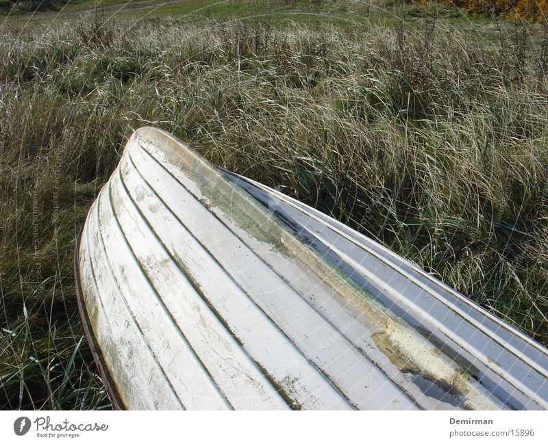 aground Watercraft White Meadow Beach Loneliness Obscure Partially visible Island