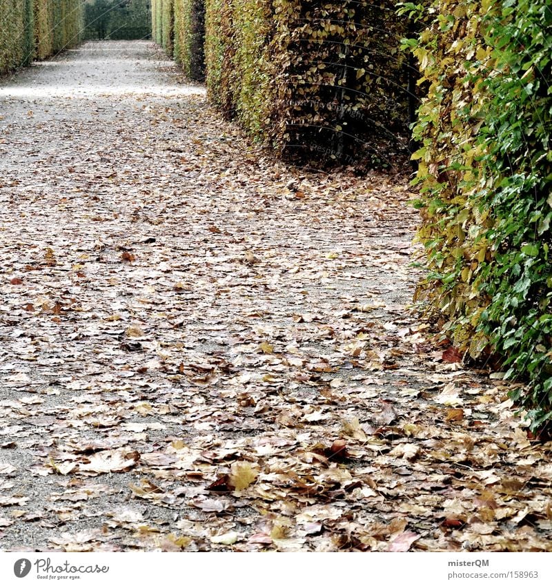 "Labyrinth of Everyday Life" or "Many Paths Lead to Rome" Maze Garden Park Green Autumn Leaf To go for a walk Castle yard Task Challenging Muddled Puzzle