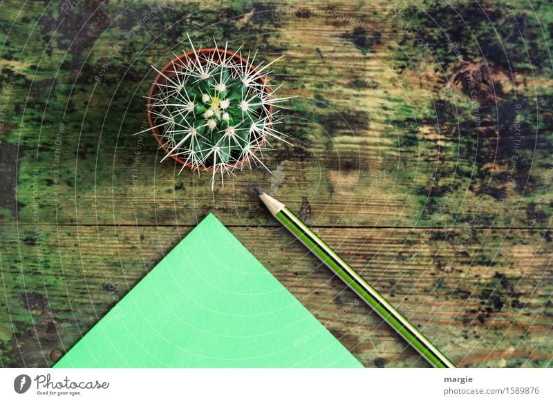 Sending unpleasant messages with cactus, paper and pencil on an old wooden table Decoration Desk Study Office work Workplace Advertising Industry Business