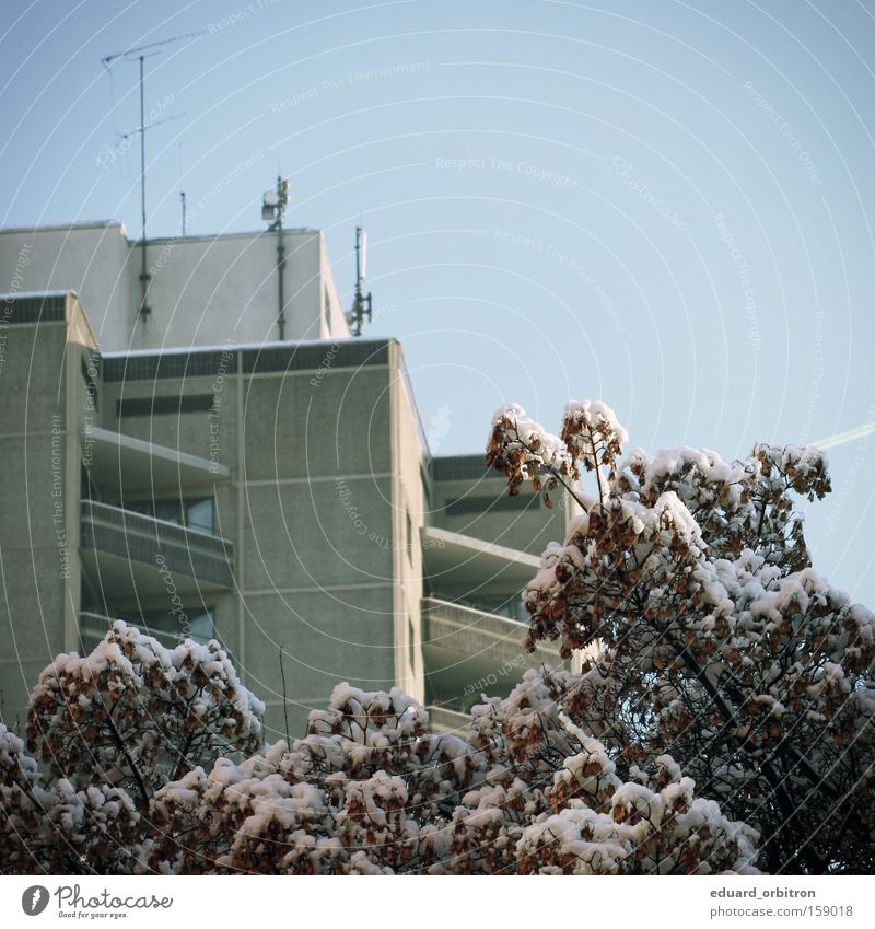 fuck winter Colour photo Exterior shot Day Winter Snow House (Residential Structure) Tree Antenna Cold Tower block Square Prefab construction Man vs. Nature