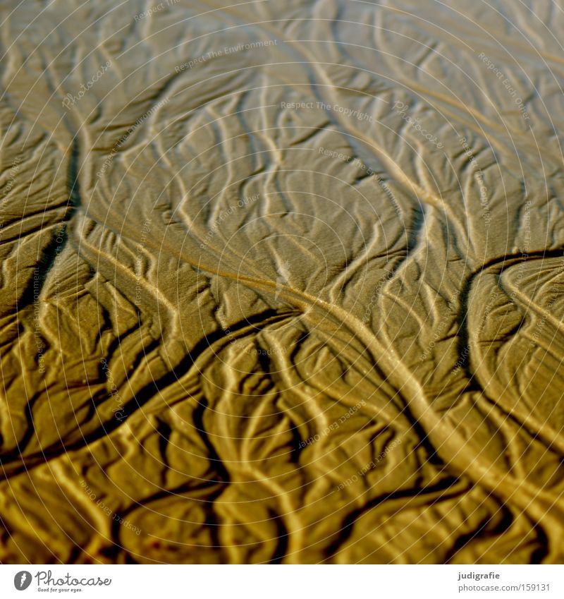 beach shapes Sand Beach Structures and shapes Gutter River Flow Nature Rinse Ocean North Sea Sylt Coast Mountain Valley Colour sluiced out