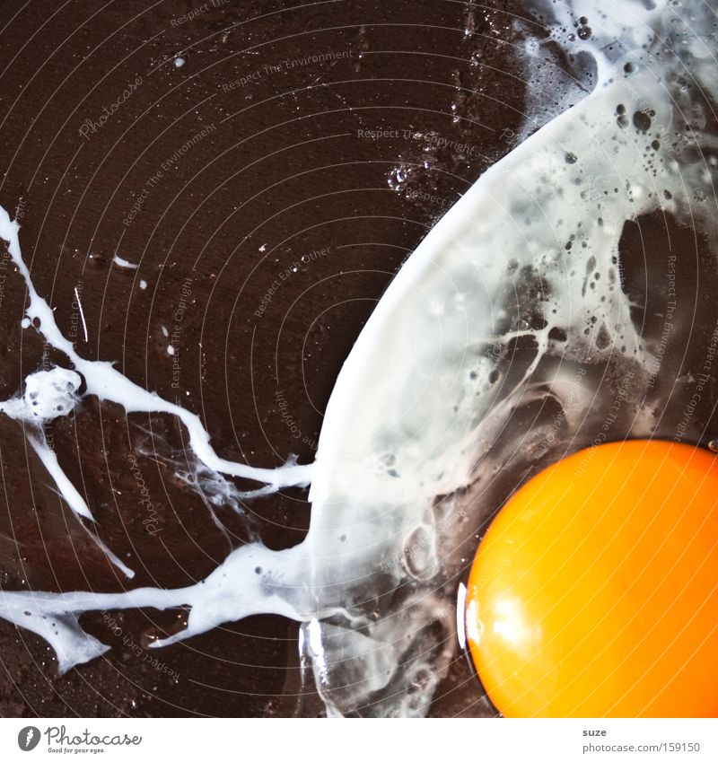 Rubber boat in stormy sea Food Nutrition Breakfast Organic produce Pan Delicious Yellow Black White Egg Fried egg sunny-side up Yolk Albumin Hen's egg