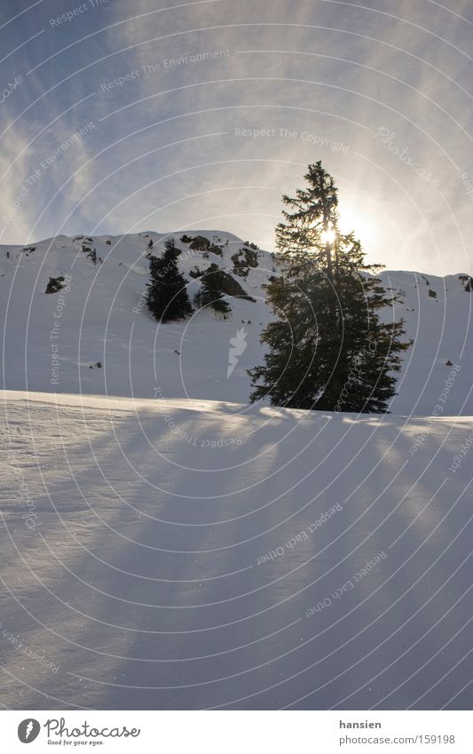 shadow in the snow Sun Tree Clouds Shadow Visual spectacle Mountain Winter sunhead Snow