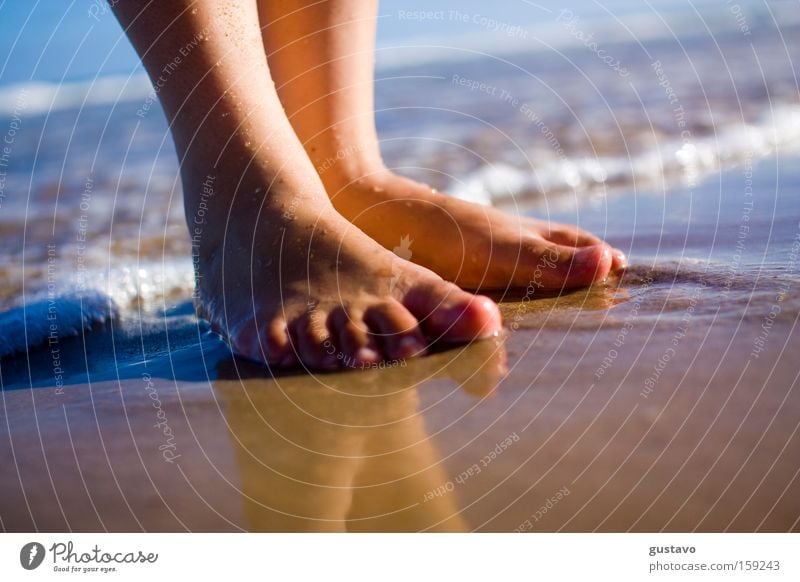 Nice Place Feet Ocean Resting Life Brazil Resort Hotel Recife Summer Healthy Macro (Extreme close-up) Close-up Water tanning