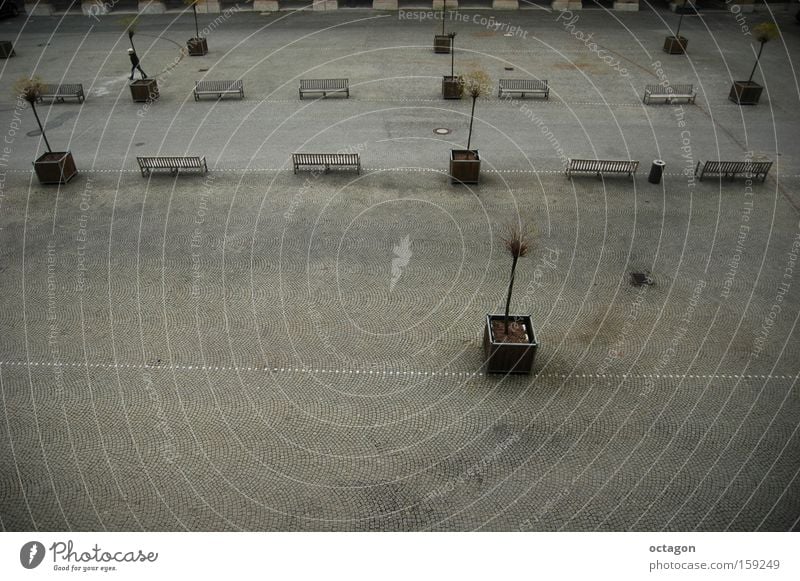 cold and sad winter Grief Distress Residenz Muenchen Platz nobody grey Cold Gloomy Winter