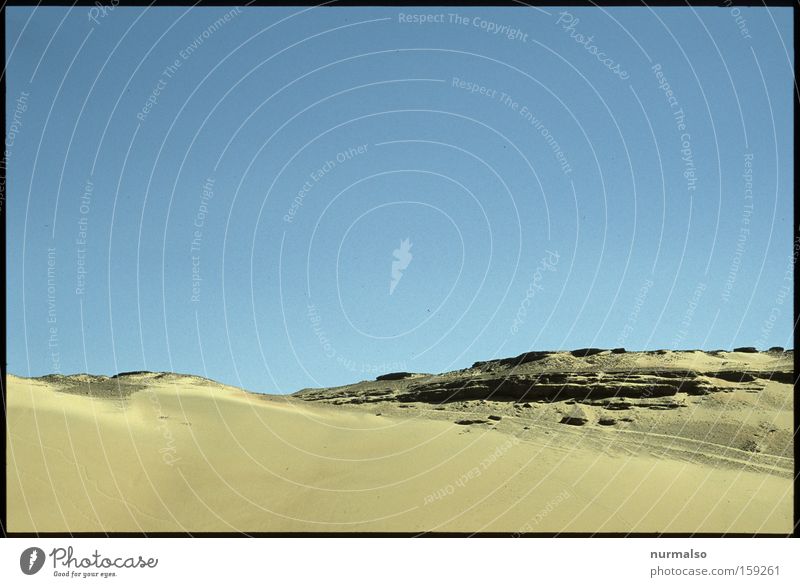 Tomorrow in the desert Egypt Desert Cairo Pyramid Pharaohs Past Nile Bedouin Sand Gale Warmth Drought Die of thirst Camel Vulture Nature Africa Earth