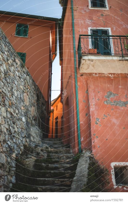 glow Village Small Town House (Residential Structure) Wall (barrier) Wall (building) Stairs Facade Old Orange Alley Colour photo Exterior shot Deserted Day