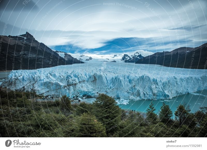 Perito Moreno Glacier Ice Frost Forest Mountain Coast Fjord Sharp-edged Gigantic Cold Blue White Climate Change Edge Glacier tongue Deserted Copy Space top