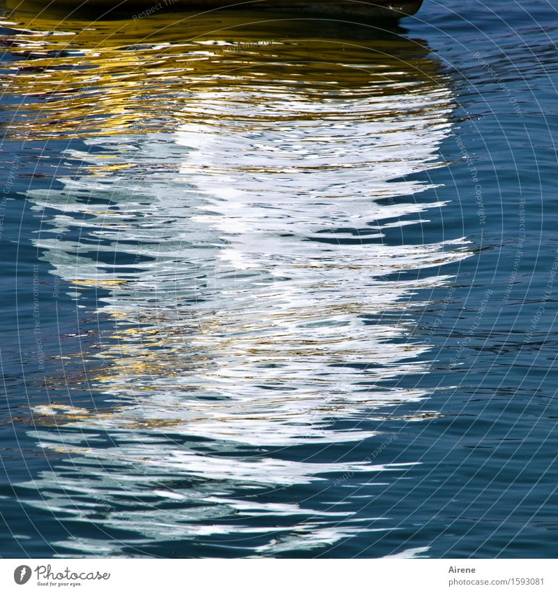 wavering figure Sailing Aquatics Elements Water Summer Beautiful weather Waves Lake Boating trip Sailboat Fantastic Maritime Blue Yellow White Joy Reflection