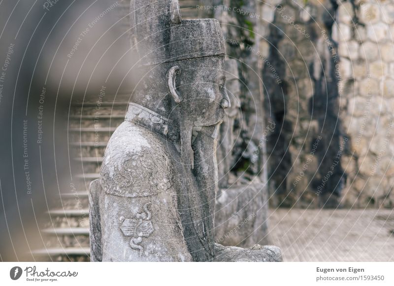 Mandarin statue in the imperial grave of Hue (Vietnam) Vacation & Travel Tourism Trip Adventure Far-off places Freedom Sightseeing Expedition Art Sculpture