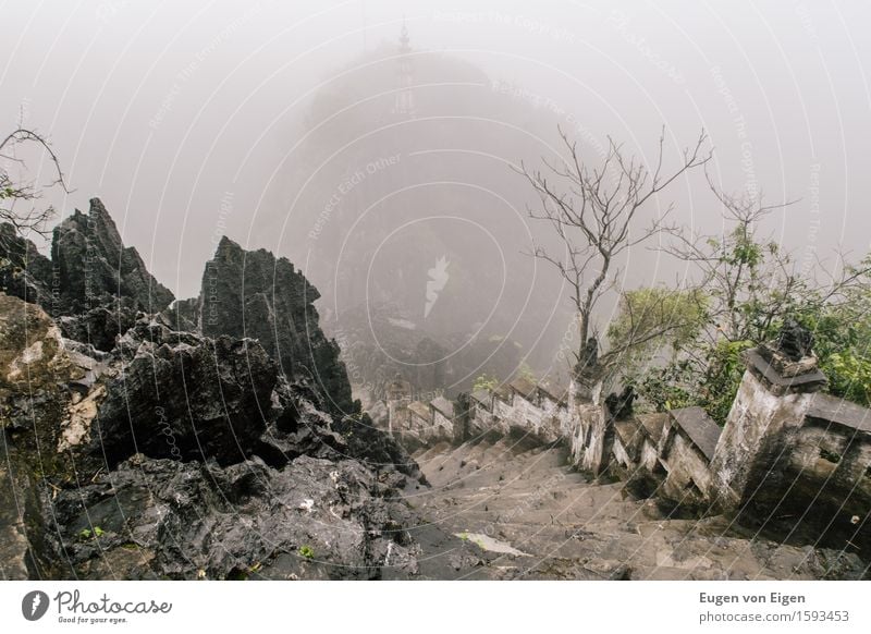 Steps in Ninh Binh (Vietnam) Vacation & Travel Trip Adventure Freedom Sightseeing Expedition Mountain Hiking Air Weather Bad weather Storm Fog Hill Rock Asia