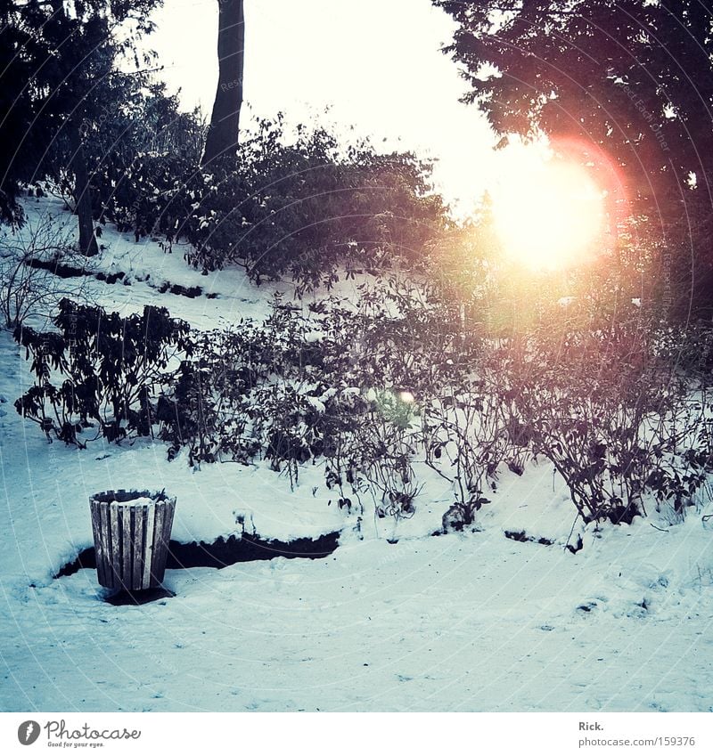 Winter is gone. Colour photo Exterior shot Deserted Light Shadow Sunbeam Central perspective Senses Relaxation Calm Snow Garden Nature Sky Ice Frost Warmth